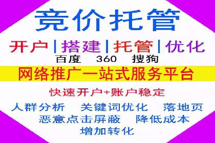 竞价托管实战案例：优化广告投放策略